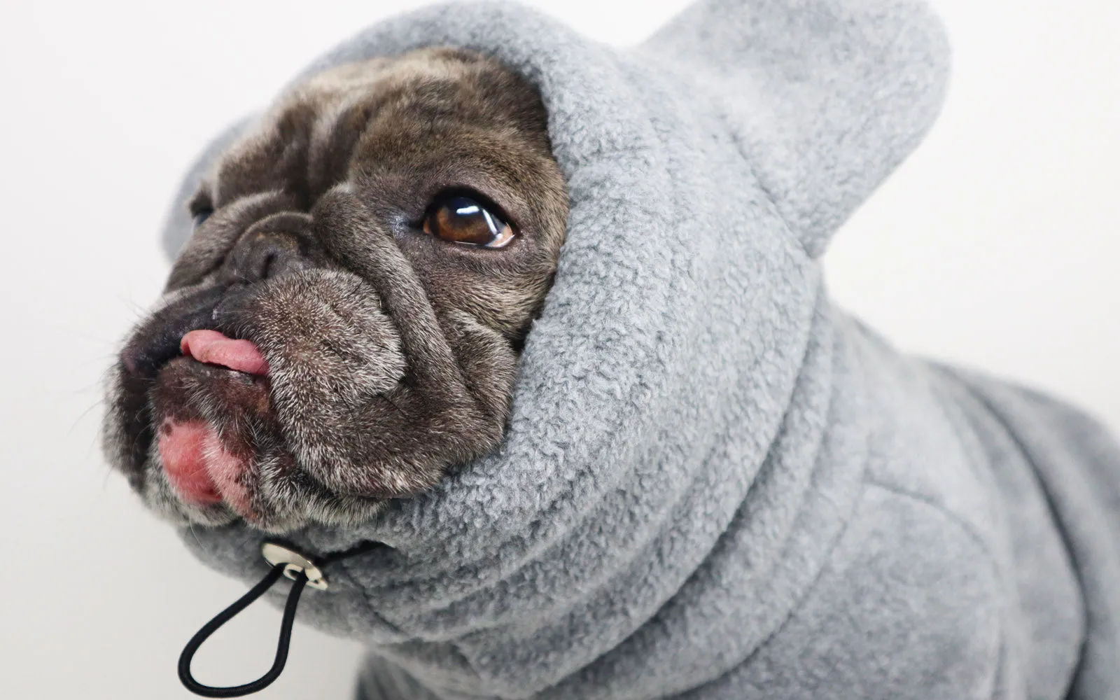 Frenchie Ear Hoodie Bundle Boys version 1 | Frenchiestore