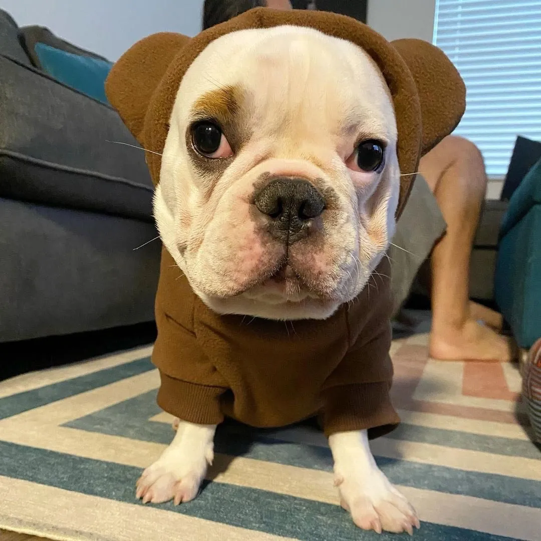 Frenchie Ear Hoodie Bundle Boys version 1 | Frenchiestore